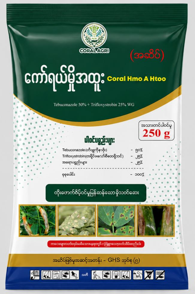 Coral Hmo A Htoo Tebuconazole 50% + Trifloxystrobin 25% WG 250 g pack